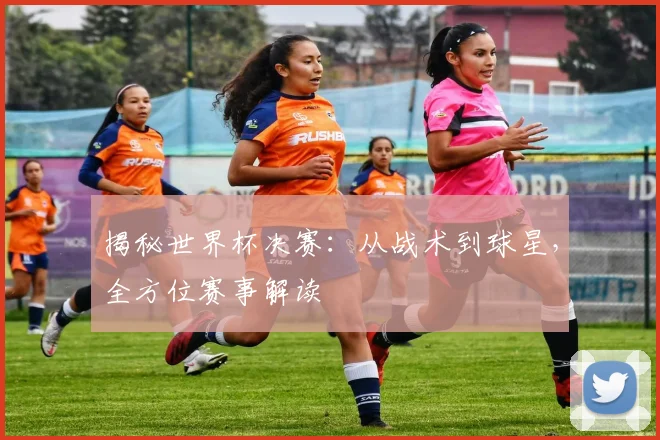 揭秘世界杯决赛：从战术到球星，全方位赛事解读